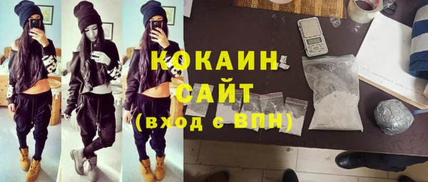 mdpv Краснослободск
